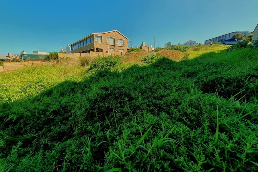 0 Bedroom Property for Sale in Jongensfontein Western Cape